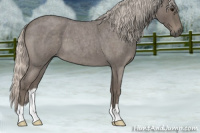 Horse Color:Silver Blue Roan 