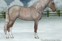 Horse Color:Silver Blue Roan 