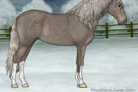 Horse Color:Silver Blue Roan 