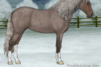 Horse Color:Silver Blue Roan 