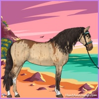 Horse Color:Buckskin Dun Rabicano Brindle