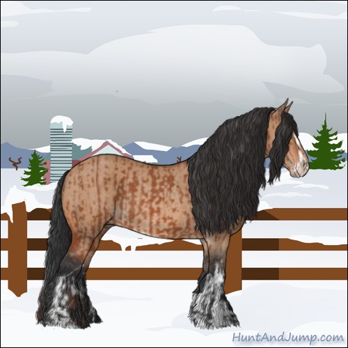 Horse Color:Bay Sabino Rabicano  and Bay Dun Sabino Rabicano 