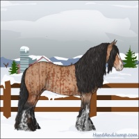 Horse Color:Bay Sabino Rabicano and Bay Dun Sabino Rabicano