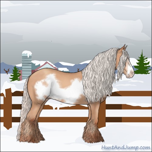 Horse Color:Silver Amber Champagne Frame 