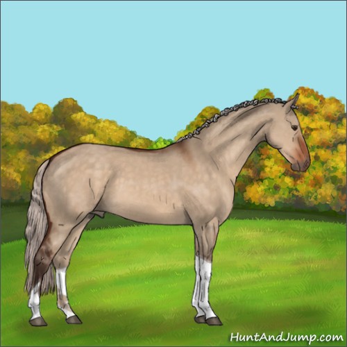 Horse Color:Silver Brown Dun Tobiano 