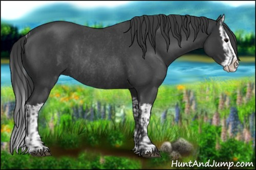 Horse Color:Blue Roan Sabino Splash  and Blue Roan Sabino Splash Rabicano 