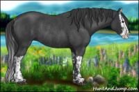 Horse Color:Blue Roan Sabino Splash  and Blue Roan Sabino Splash Rabicano 