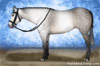 Horse Color:Gray Brown Dun Sabino