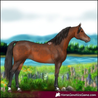 Horse Color:Brown 