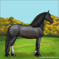 Horse Color:Brown Roan 