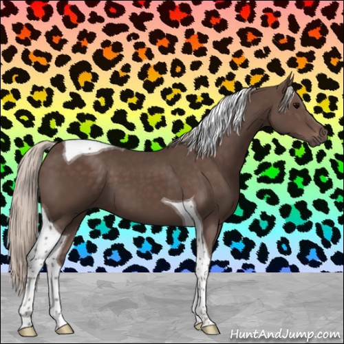 Horse Color:Silver Black Tobiano