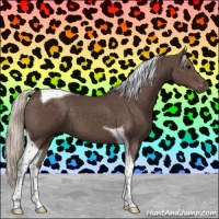 Horse Color:Silver Black Tobiano 