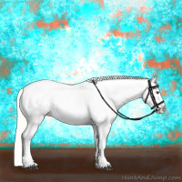 Horse Color:White Spotted Silver Bay Dun Appaloosa