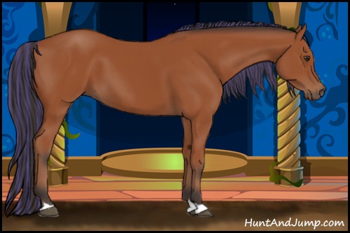 Horse Color:Painted Bay 