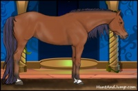 Horse Color:Painted Bay 