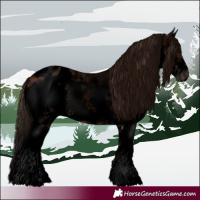 Horse Color:Void Bay Roan Sabino Splash Frame Appaloosa Rabicano 
