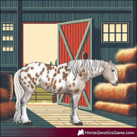 Horse Color:Gray White Spotted Silver Brown Dun Splash Near Leopard 