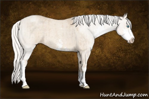 Horse Color:Silver Smoky Creme Roan Dun Sabino 