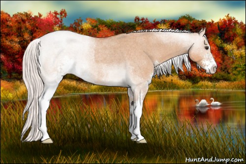 Horse Color:Silver Brown Roan Dun Sabino 