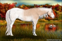Horse Color:Silver Brown Roan Dun Sabino 