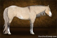Horse Color:Silver Buckskin Roan Dun Sabino 