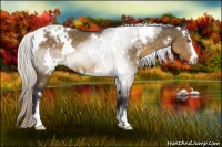 Horse Color:White Spotted Silver Buckskin Dun Sabino 