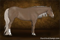 Horse Color:Silver Smoky Black Sabino 
