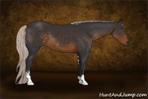 Horse Color:Silver Smoky Black Sabino