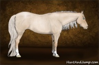Horse Color:Silver Smoky Blue Roan Pearl 