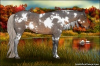 Horse Color:White Spotted Silver Buckskin Roan 