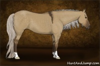 Horse Color:Silver Smoky Grullo 
