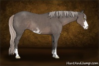 Horse Color:Silver Black Sabino 