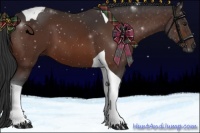 Horse Color:Brown Tobiano 