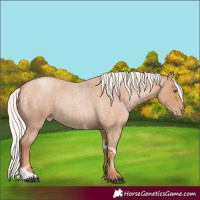 Horse Color:Silver Blue Roan Pearl Tobiano Frame 