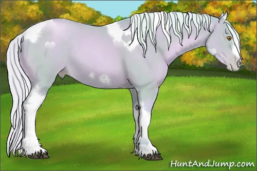 Horse Color:Watercolor Silver Blue Roan Pearl Tobiano Frame 