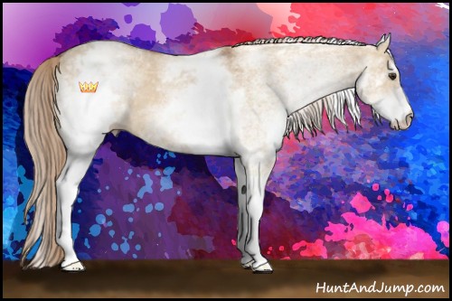 Horse Color:White Spotted Red Dun 
