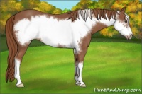 Horse Color:Chestnut Frame