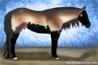 Horse Color:Void Bay Onyx Splash 