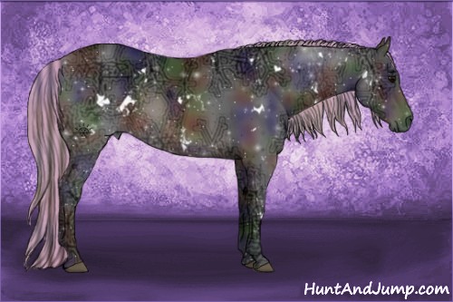 Horse Color:Painted Nacre White Spotted Brown Ice Rabicano 