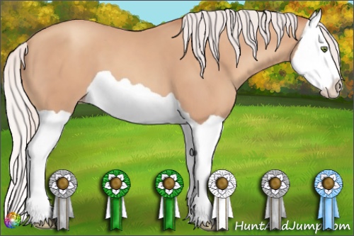 Horse Color:Silver Classic Champagne Splash 