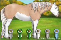 Horse Color:Silver Classic Champagne Splash 