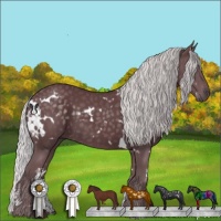 Horse Color:White Spotted Chocolate Silver Black Chinchilla 