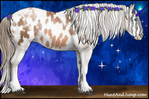 Horse Color:White Spotted Liver Chestnut Pearl Sabino Splash Blanket Rabicano 