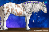 Horse Color:White Spotted Liver Chestnut Pearl Sabino Splash Blanket Rabicano