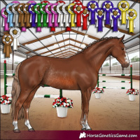 Horse Color:Chestnut Rabicano 