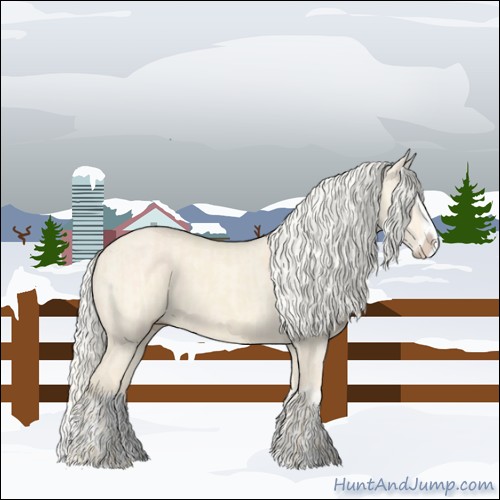Horse Color:Cremello Splash and Cremello Dun Splash