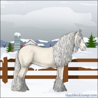 Horse Color:Cremello Splash  and Cremello Dun Splash 