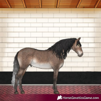 Horse Color:Brown Dun Mushroom Brindle