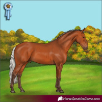 Horse Color:Silver Bay 