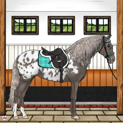 Horse Color:Silver Black Blanket 